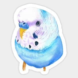 budgerigar blue and purple watercolor Sticker